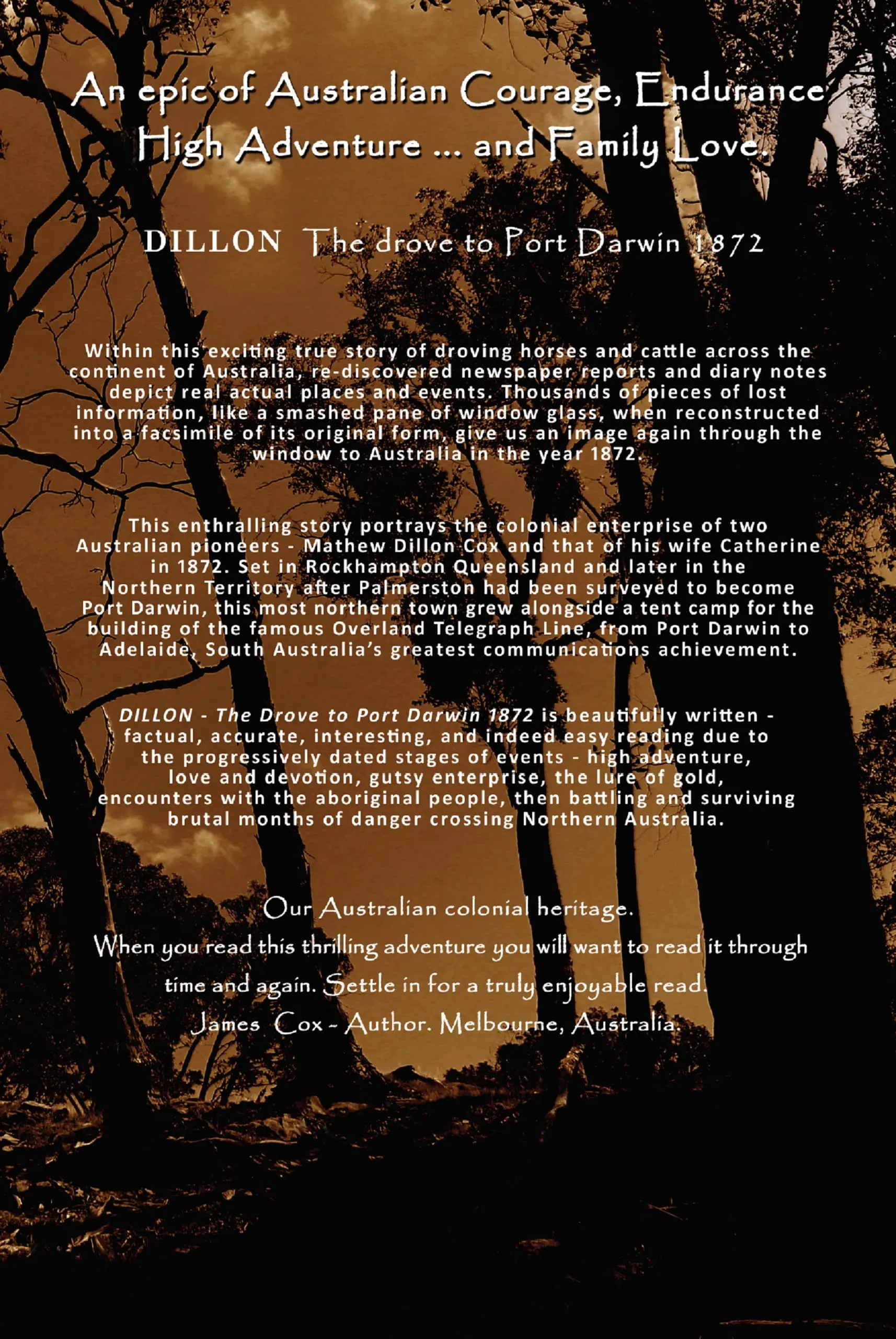 Dillon Paperback - Image 2